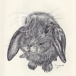 BALLPEN RABBIT