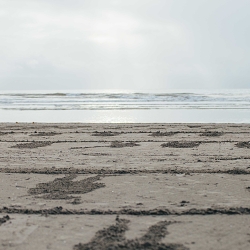 Pages by the Sea