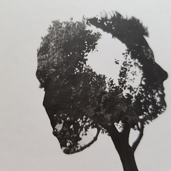 Cover Design