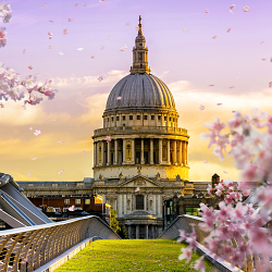Tapestry's Spring Takeover