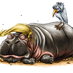 The Special Relationship
