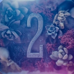 Google Countdown