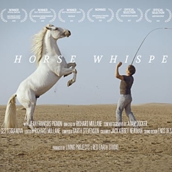 The Horse Whisperer
