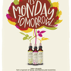 Bach Flower Remedies Campaign