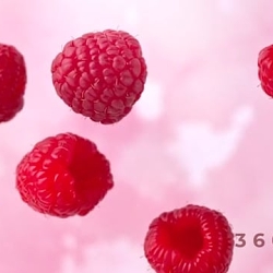 360FX Showreel 2019