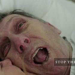 Stop the horror