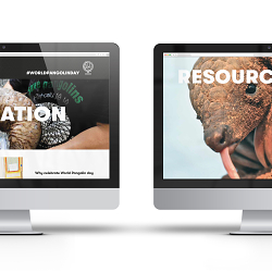 World Pangolin day