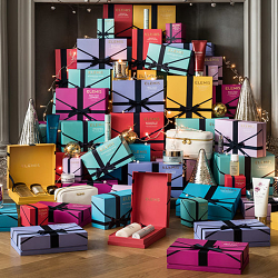 Elemis Christmas 2016 Gift Packaging