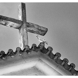 People of the Steeple