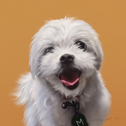 Animal portrait paintings