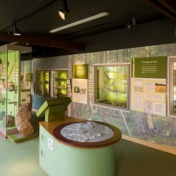 Luton Culture - Stockwood Discovery Centre Re-Development Project