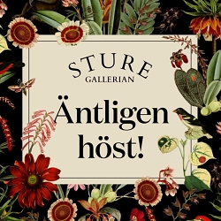 Sturegallerian - Fall Campaign 2018