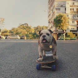 CHURCHIE’S MODERN MAKEOVER  BRAND NEW CREATIVE INVITES BRITS TO  ‘CHUR-CHILL’