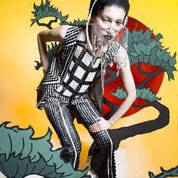 In The World of Hanafuda Cards