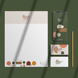 Black Dot Interiors | Logo & Brand Development