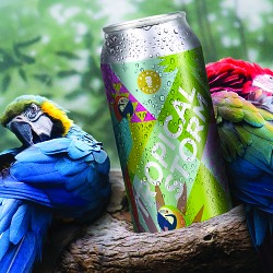 Award winning beer can design