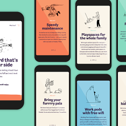 Occu Brand Development