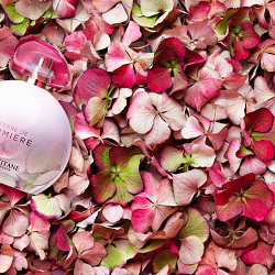 L'Occitane Fragrances | RETOUCH