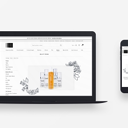 UI / Web Design