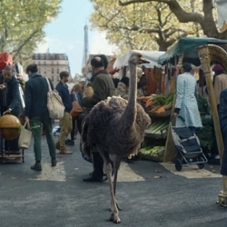 EUROSTAR LAUNCHES ‘YOU SEE MORE WHEN YOU DON’T FLY’ TV EUROPEAN CAMPAIGN