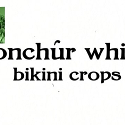 Conchúr White - "Bikini Crops" (Official Music Video)