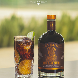 LYRE’S NON ALCOHOLIC SPIRITS LAUNCHES FIRST NATIONWIDE DIGITAL AND OUTDOOR BRAND CAMPAIGN