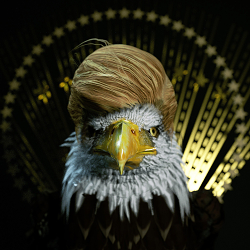 What if he wins ?