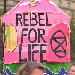 Tree of Life - Extinction Rebellion