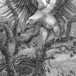 Polish Legends Illustrated book