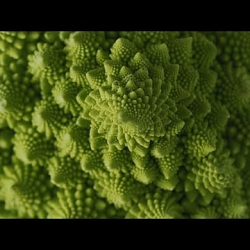Gaggenau "Limitless Imagination"