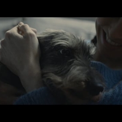 AFFINITY ULTIMA PETFOOD - TRAILER