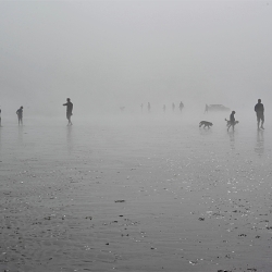 Its all a FOG