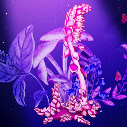 Vegan Festival
