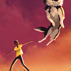Frisbee Evenings