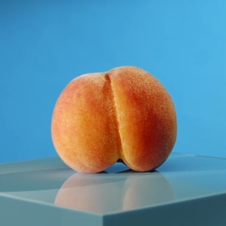 Anusol - Bum's The Word