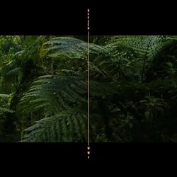 WWF Unrelaxing Playlist