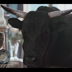 MONEYSUPERMARKET’S NEW TV AD INTRODUCES  THE MONEY CALM BULL