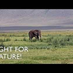FIGHT FOR NATURE! feat. Greta Thunberg, Jane Goodall, Sir David Attenborough & Arnold Schwarzene