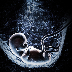 Abortion Wars Illustration