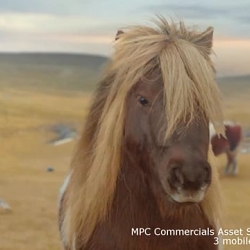 TV and Commercial Showreel 2020
