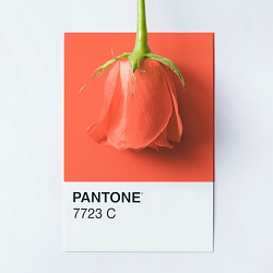 Urban Gardeners Republic - Brand Identity & Lead Magnets