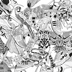 Sneakers Zoo - Vol.2