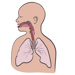 Speech Therapy post-COVID