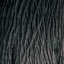 You Have Beautiful Veins
