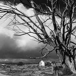 KODAK Travels – The Artist