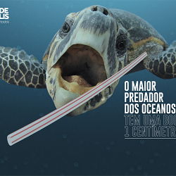 Plastic Kills