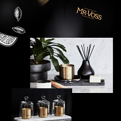 Mr Voss Startup Branding