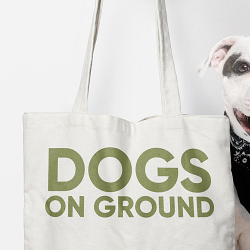 Dogs on Ground Full Service