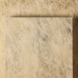 G.F Smith - Website Imagery