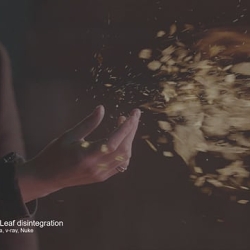 Leaf disintegration